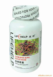 蟲草膠囊與白芷膠囊 廣州萊邦健康食品科技的產品特點與應用解析